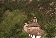 PARCO NAZIONALE FORESTE CASENTINESI MONTE FALTERONA E CAMPIGNA