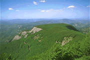 PARCO NAZIONALE FORESTE CASENTINESI MONTE FALTERONA E CAMPIGNA
